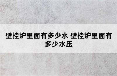 壁挂炉里面有多少水 壁挂炉里面有多少水压